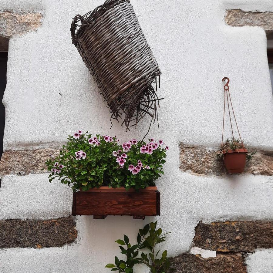 La Corte Di Grazia_Iun P2039/40 Nuoro  Exterior photo
